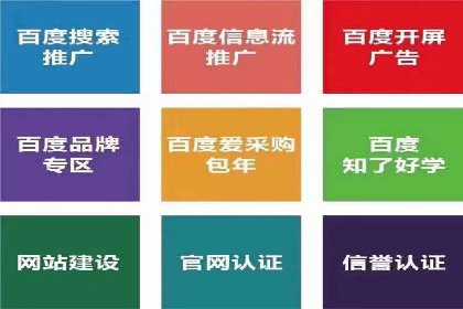 成功企业SEM竞价代运营案例研究